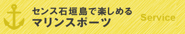 センス石垣島で頼めるマリンスポーツ